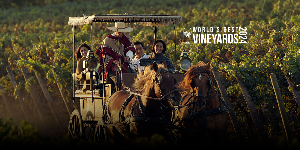 Viu Manent, CUNACO · VALLE DE COLCHAGUA